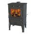 Печь камин FireWay Dacha II с плитой